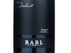 RIED DECHANT KAMPTAL DAC - GRÜNER VELTLINER ALTE REBEN,2024