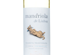Mandriola de Lisboa white,2024