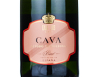 Casa Luis Cava Brut,NV