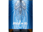 Medusa AlbariñO,2025