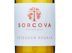 Sorcova Feteasca Regala,2025