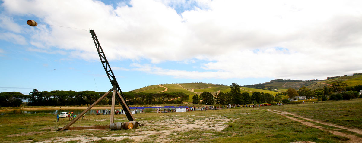 Why every vineyard should have a giant catapult