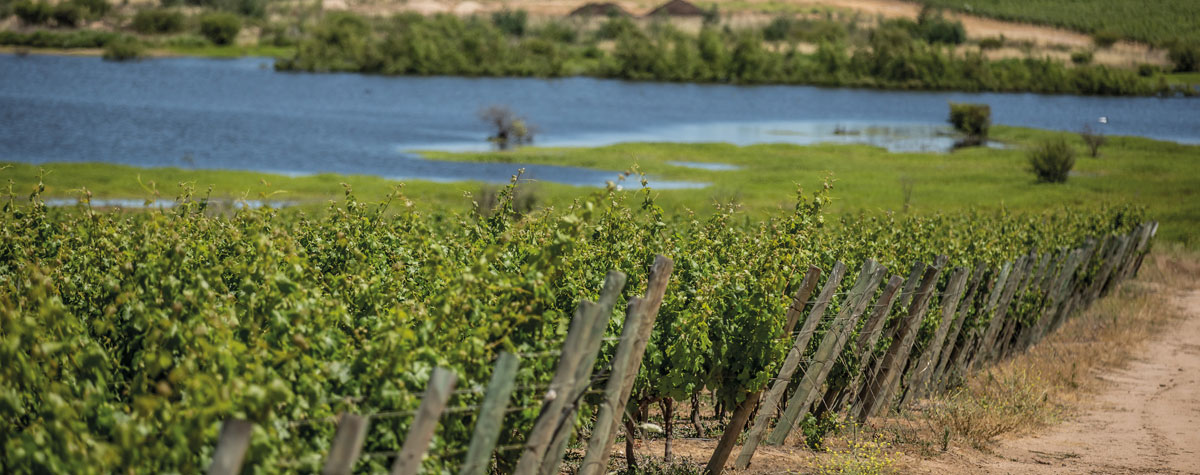 Converting 500ha to organic