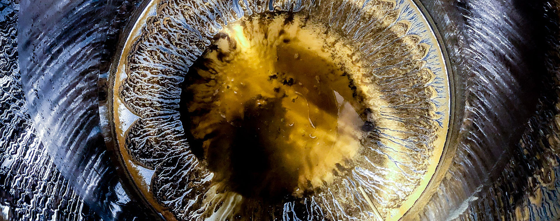 The beauty of dead yeast