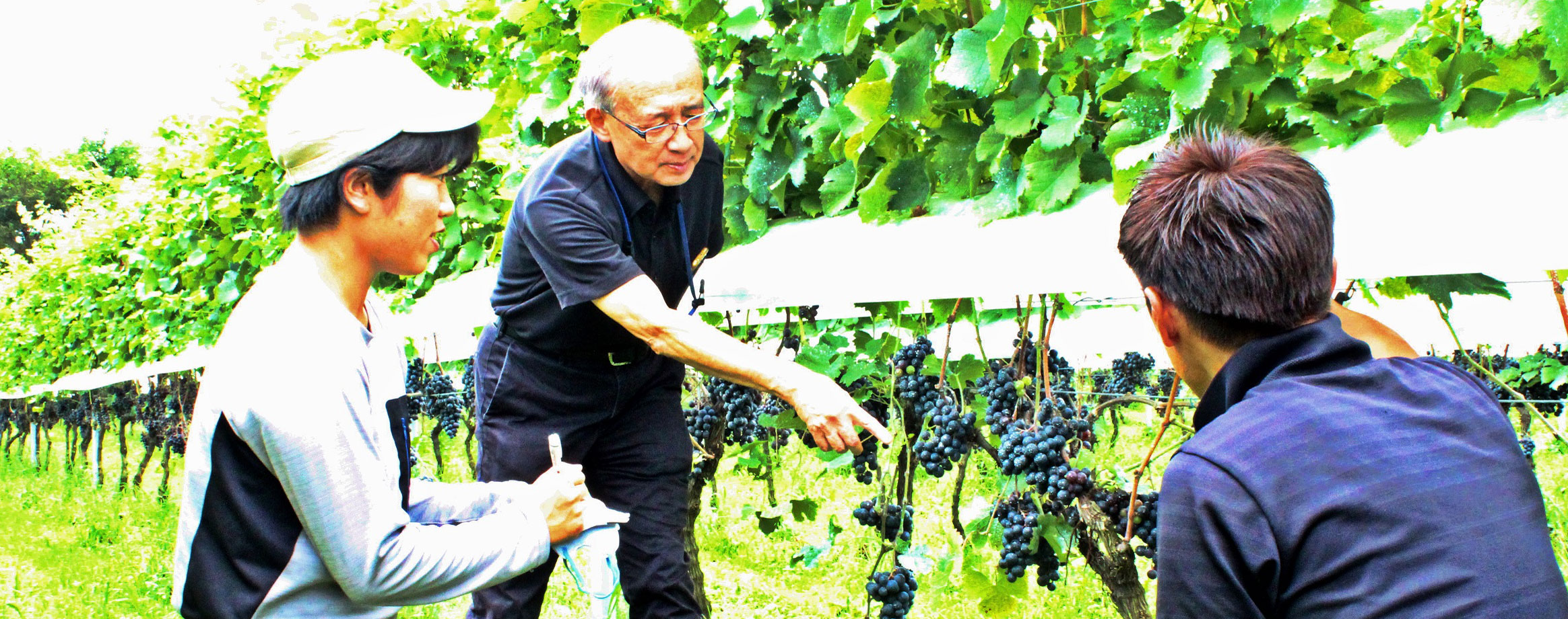 Japanese giant advises smaller rivals