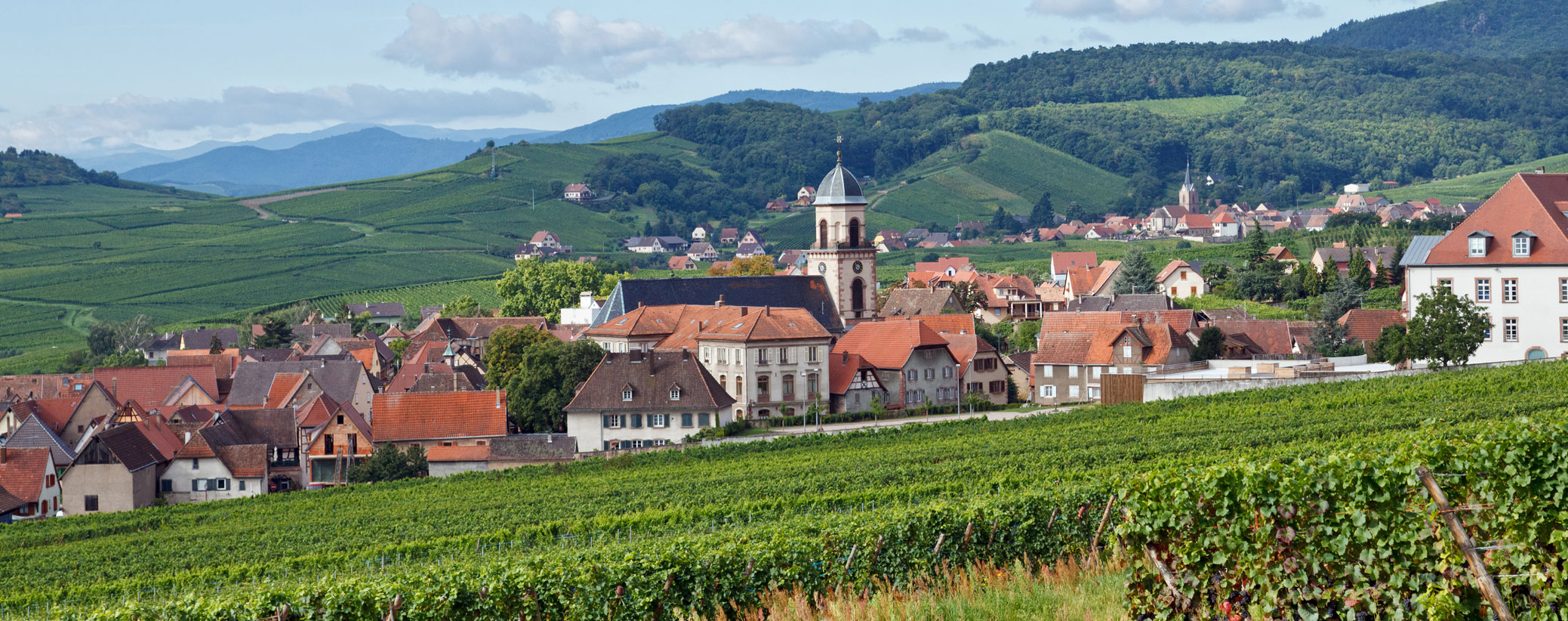 Alsace standardises sweetness levels on labels