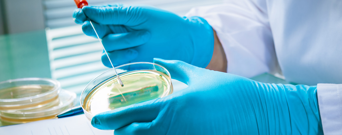 Using fungi to fight fungi