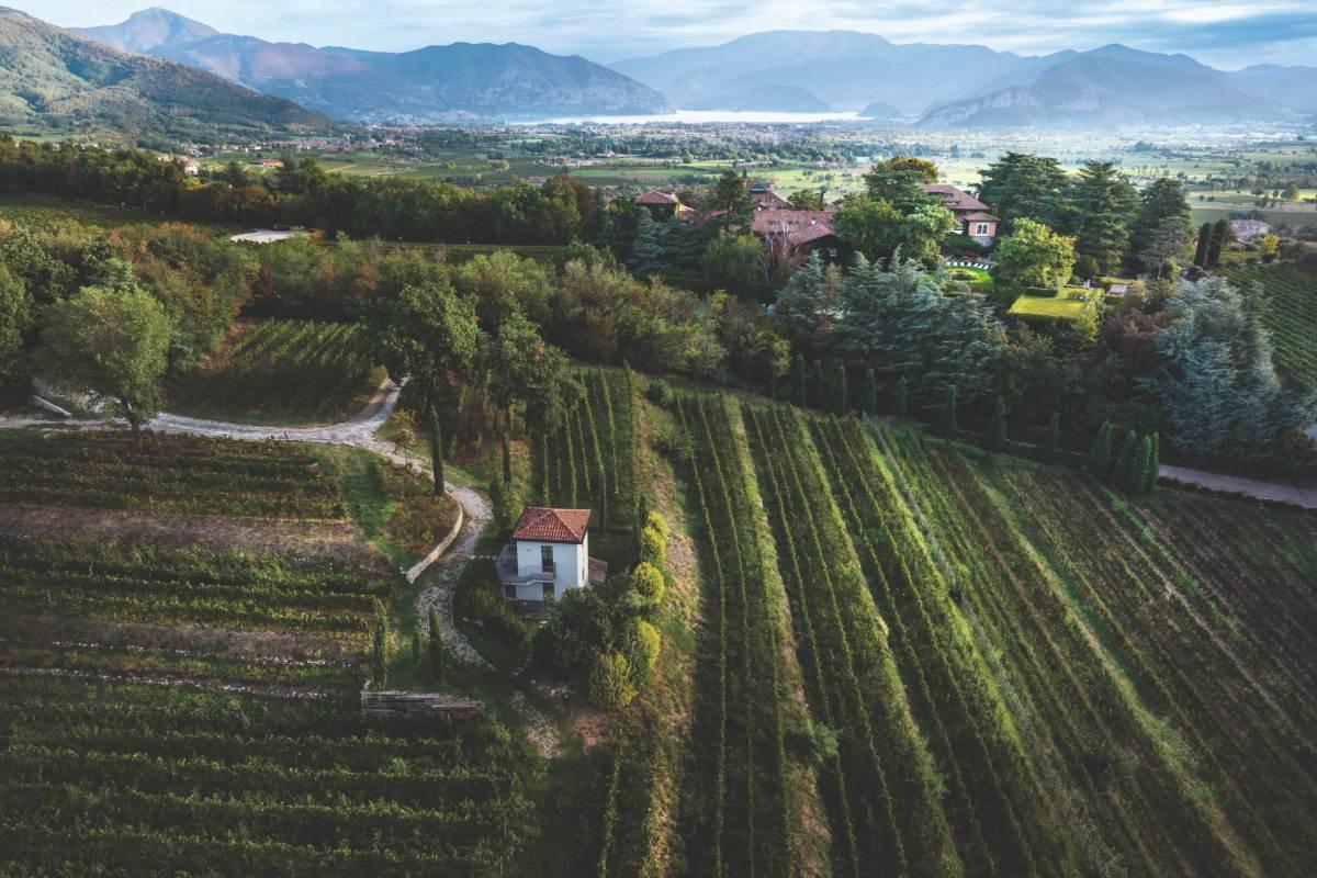 Producer Profile: Bellavista