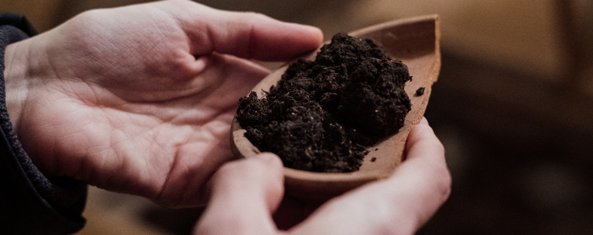 Thinking about converting to biodynamics?