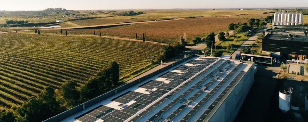 Sustainability lessons from Alentejo