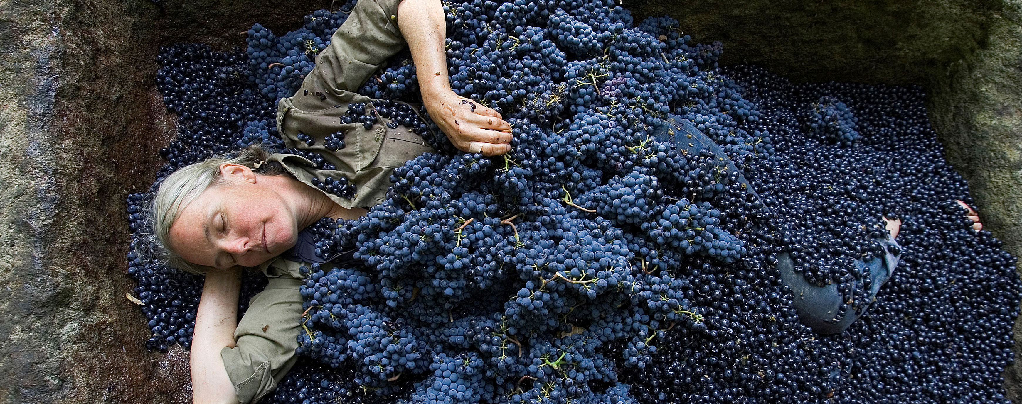 Making wine like the Etruscans