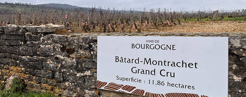 What’s happening in Bourgogne?
