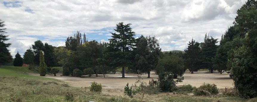 This used to be a vineyard