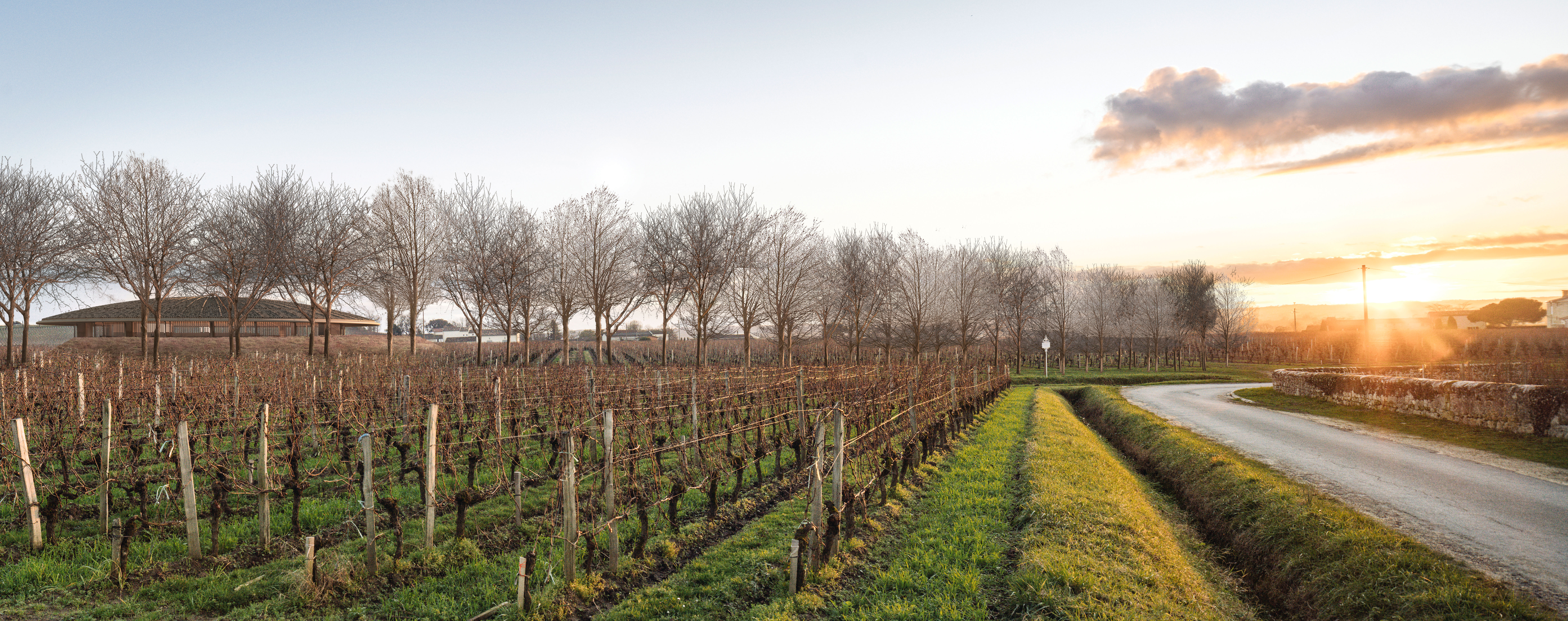 4 new wine projects