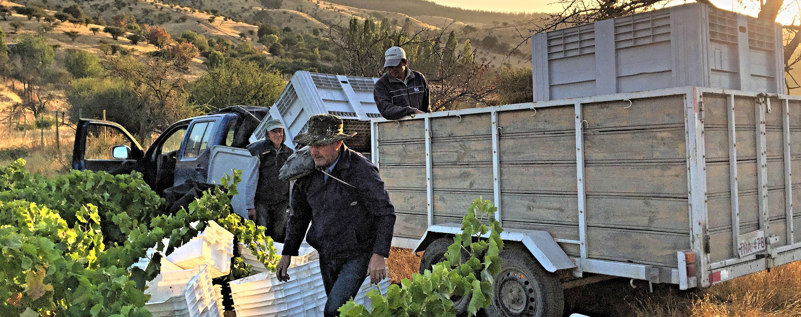 ‘Necessity is the mother of our sustainability’
