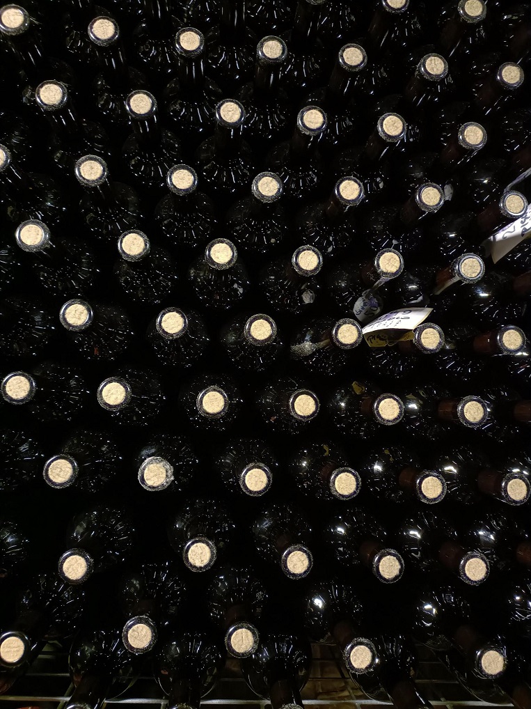 Gravner-upright-bottles