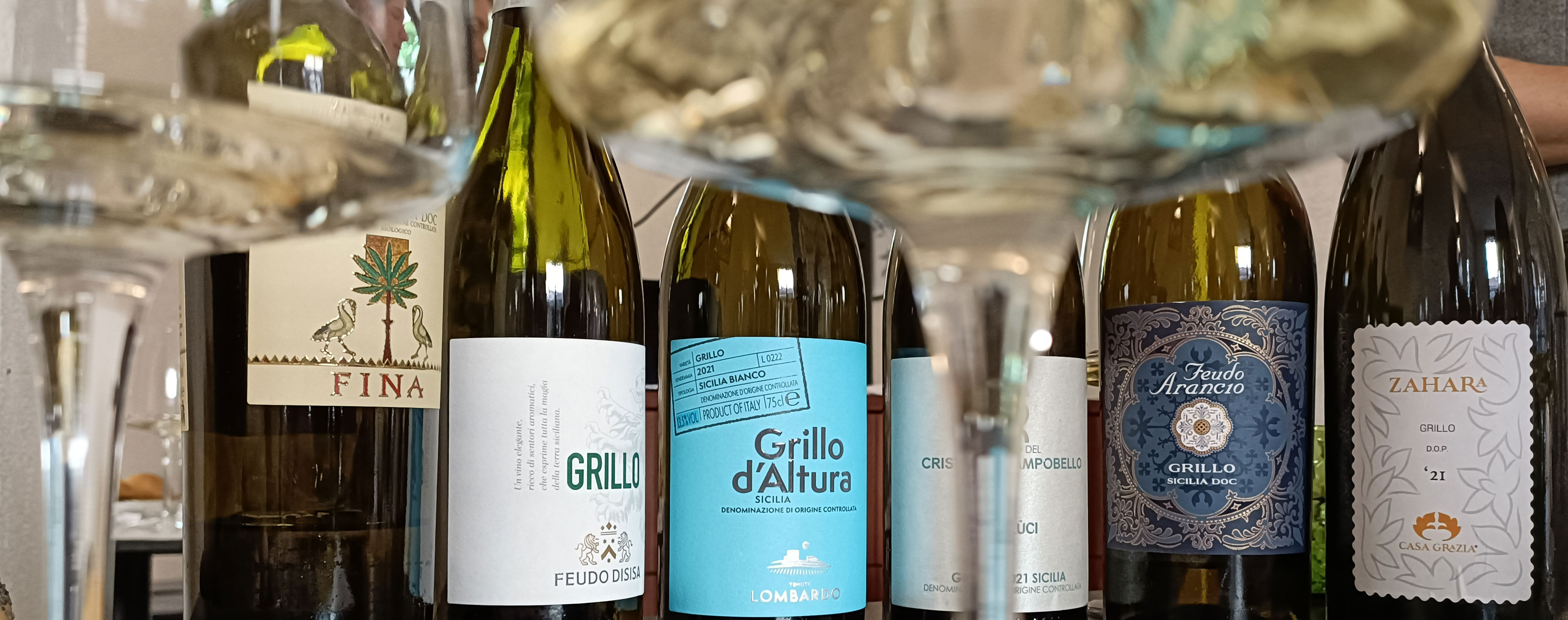 Grillo: The great contender