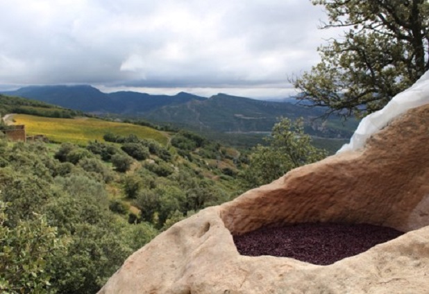 Wine by the winery Castell D'Encús.