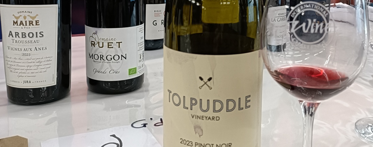 IWC 2025: The Top Wines