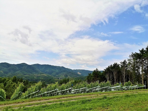 Minami_Sanriku_Winery