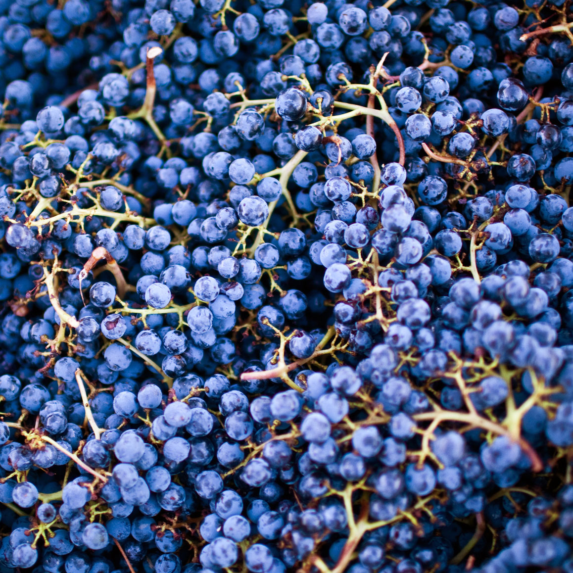 What exactly do stems add?