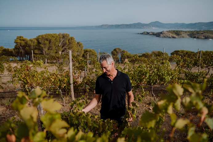 Perelada-Delfi-in-vineyard
