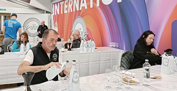 IWC2025-cochairs