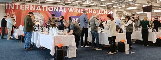 IWC2025-judging