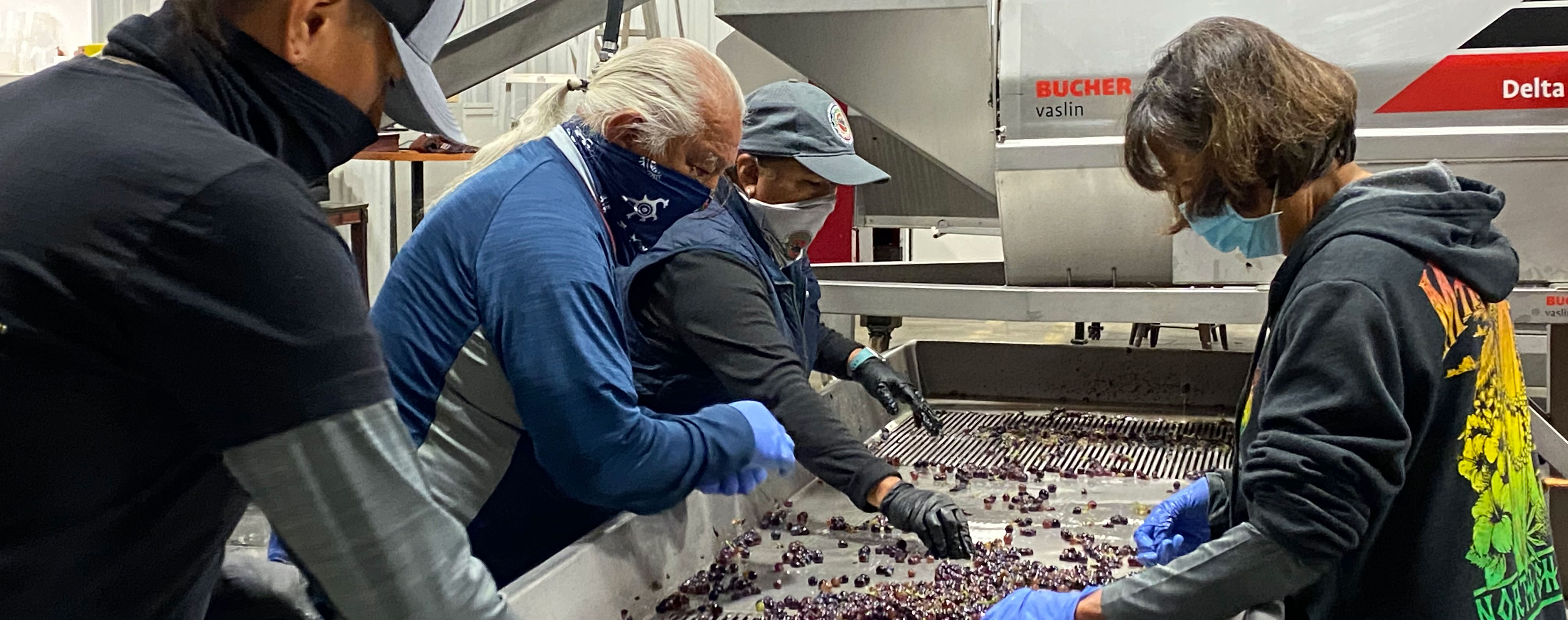 #harvest2020: 'The Chumash Way'