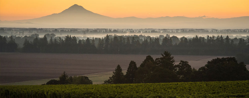 Inspiration from Oregon