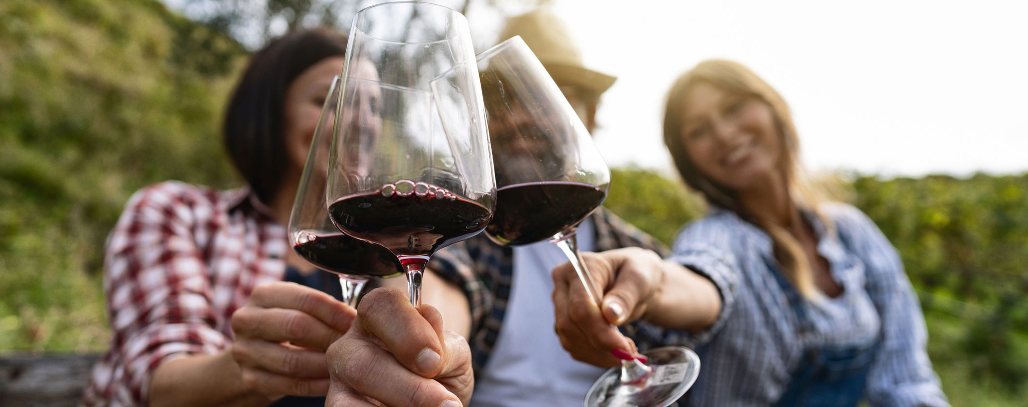 ‘Consumption is changing and moving towards organic wine’