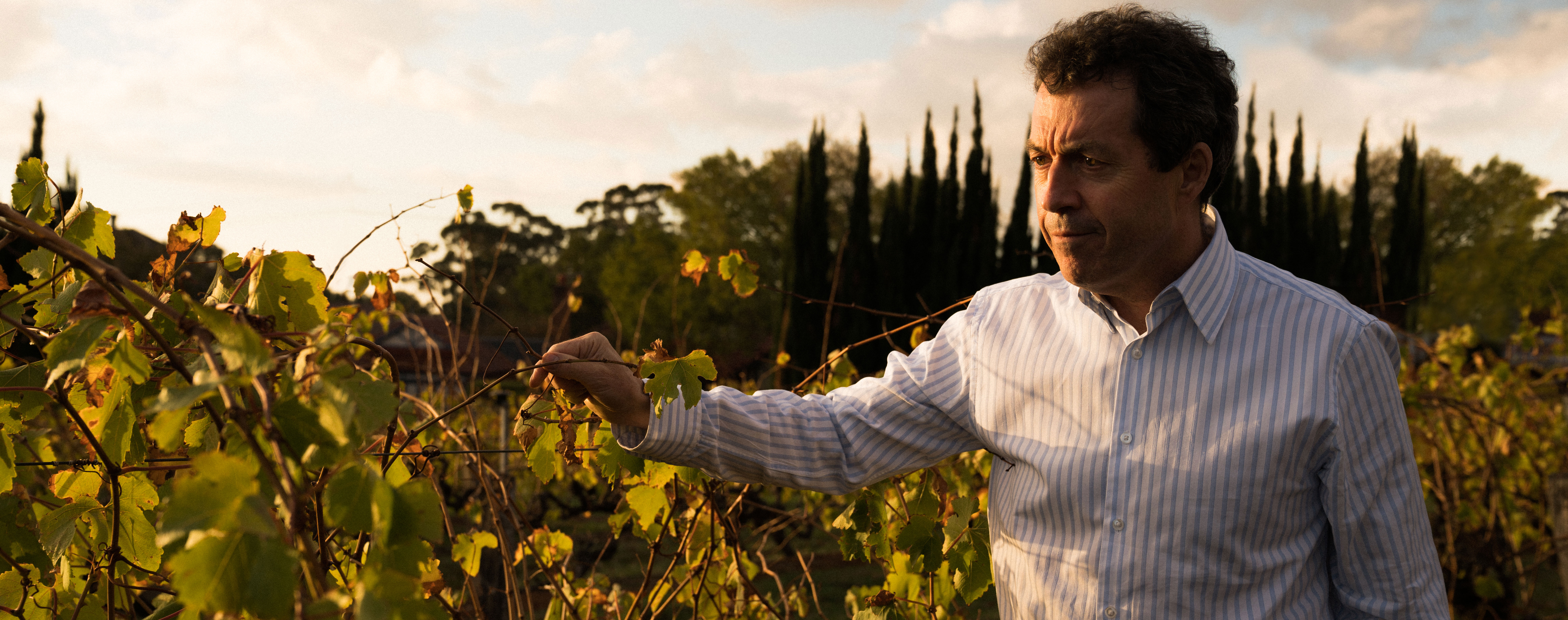 Penfolds’ Quantum leap