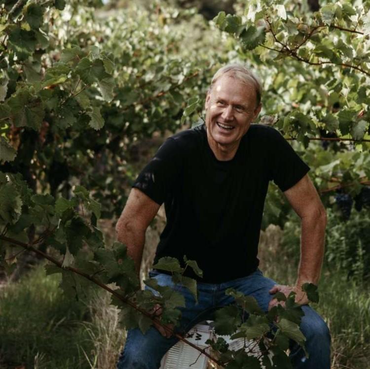 Constraints and Creativity: How Crisis Drives Quality in South African Wine