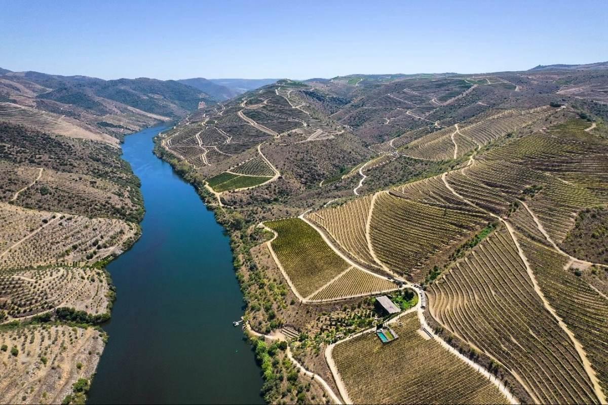 The Douro's Vital Pivot