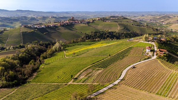 RivettoLirano