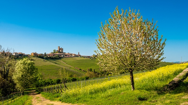 RivettoLirano2