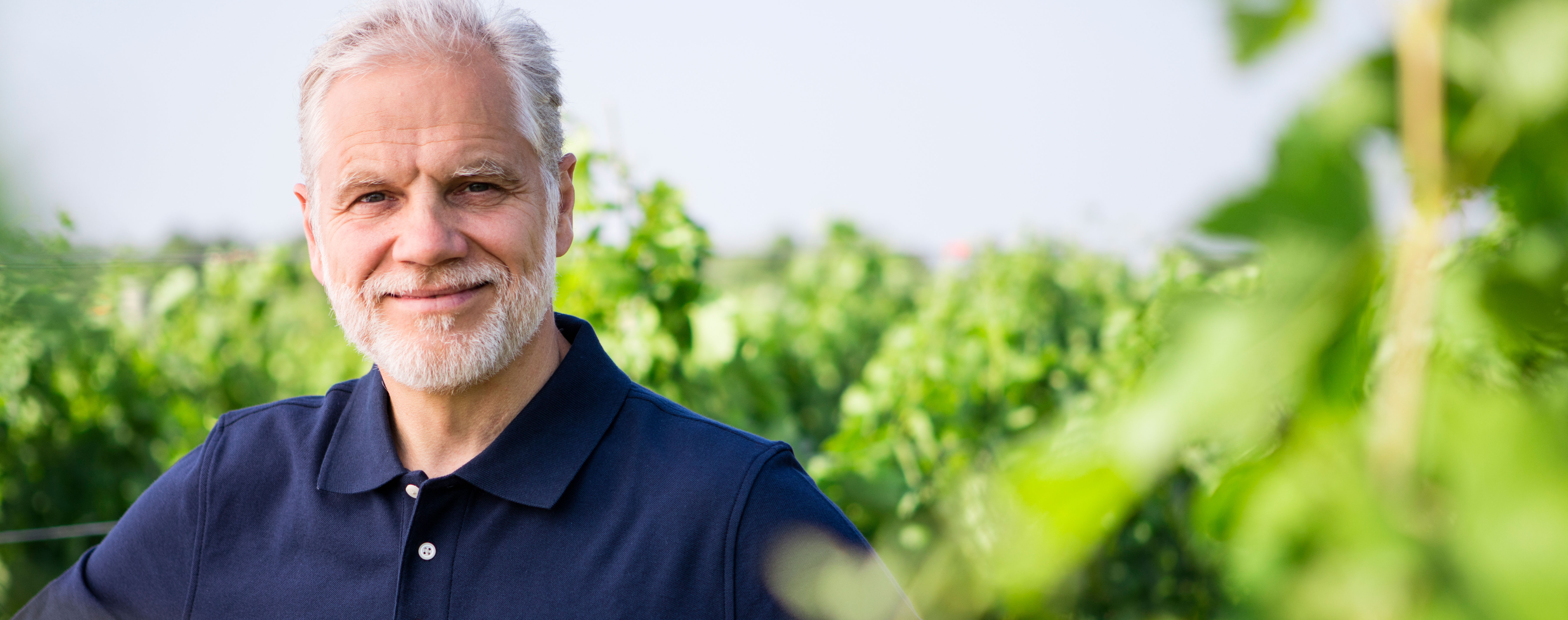 Inspiration from New York state wineries