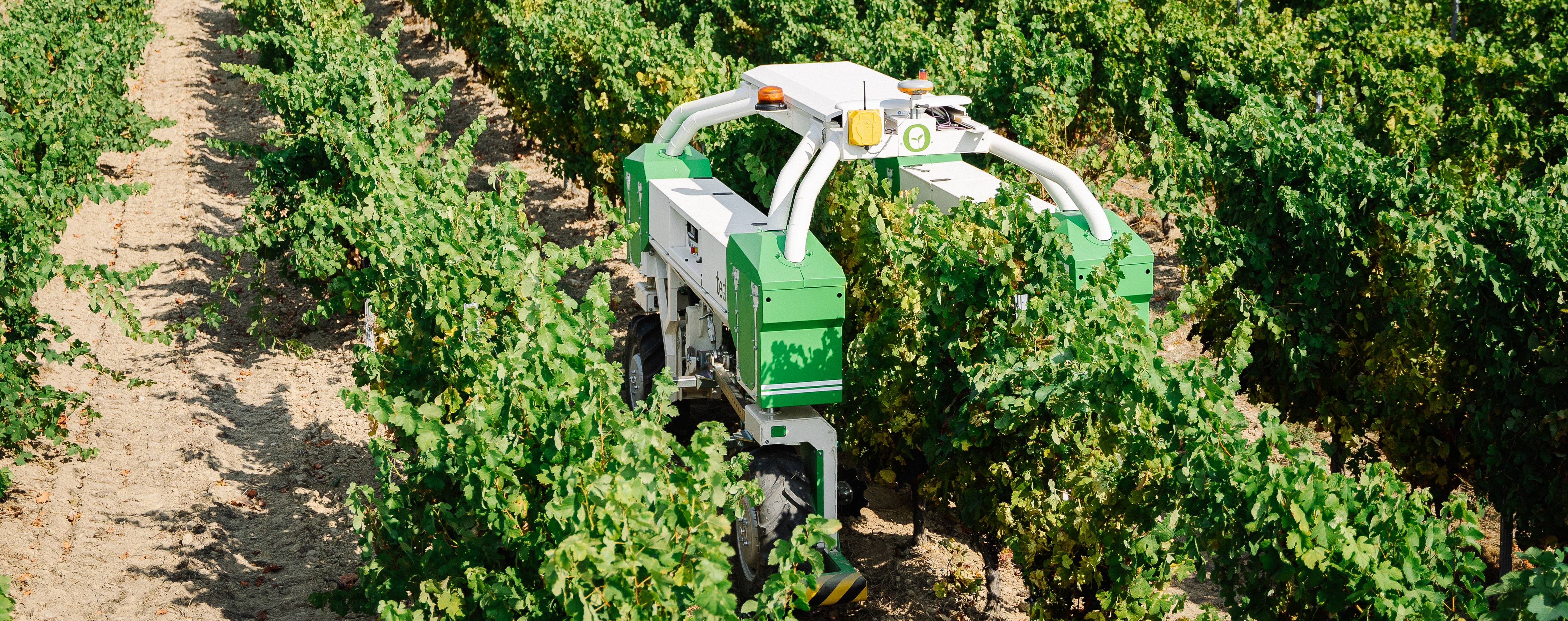 besked makeup nægte Updated robot roams French vineyards