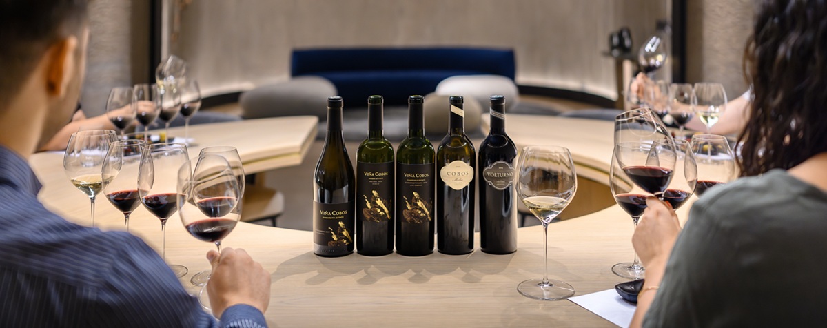 The premiumisation of Argentine wine