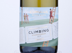 Climbing Chardonnay,2019