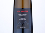 Ca' Montini Pinot Grigio Trentino "Terre di Valfredda",2020