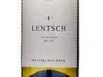 Weissburgunder,2025