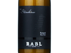 RIED STEINHAUS KAMPTAL DAC - RIESLING ROTE ERDE,2024
