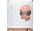 Sapiens Rose,2025