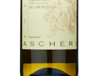 Gavi del comune di Gavi,2024