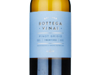 Bottega Vinai Pinot Grigio Trentino,2025