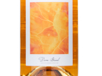 Vin orange,2024