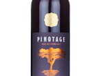 Exceptional Pinotage,2022
