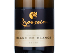 Espumante Raposeira Super Reserva Blanc de Blancs Bruto,2021
