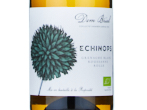 Echinops,2025